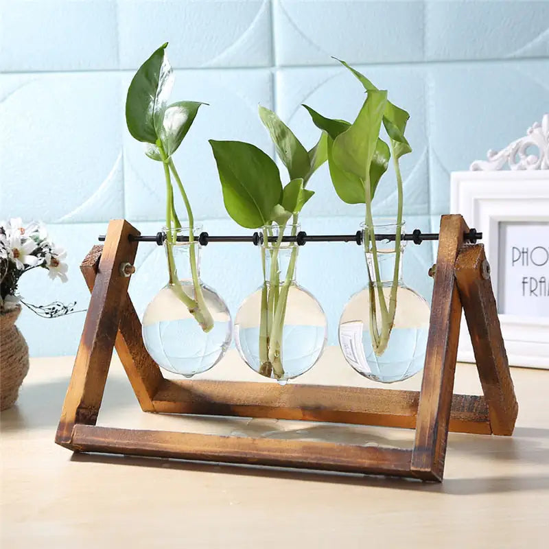 Glass and Wood Vase Planter Table Desktop