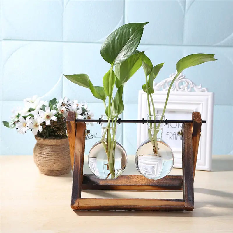 Glass and Wood Vase Planter Table Desktop